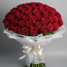 Букет 101 Красная роза Блэк Мэджик в Новопетровское