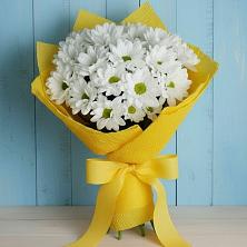 Букет цветов из:  Хризантемы в Новопетровское