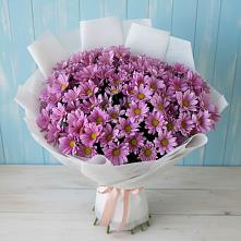 Букет цветов из:  Хризантемы в Новопетровское
