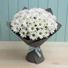 Букет цветов из:  Хризантемы #REPLACE_PRED# Новопетровское
