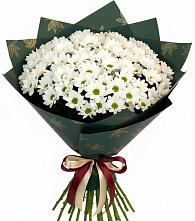 Букет цветов из:  Хризантемы в Новопетровское