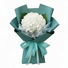 Букет цветов из:  Гортензия в Новопетровское